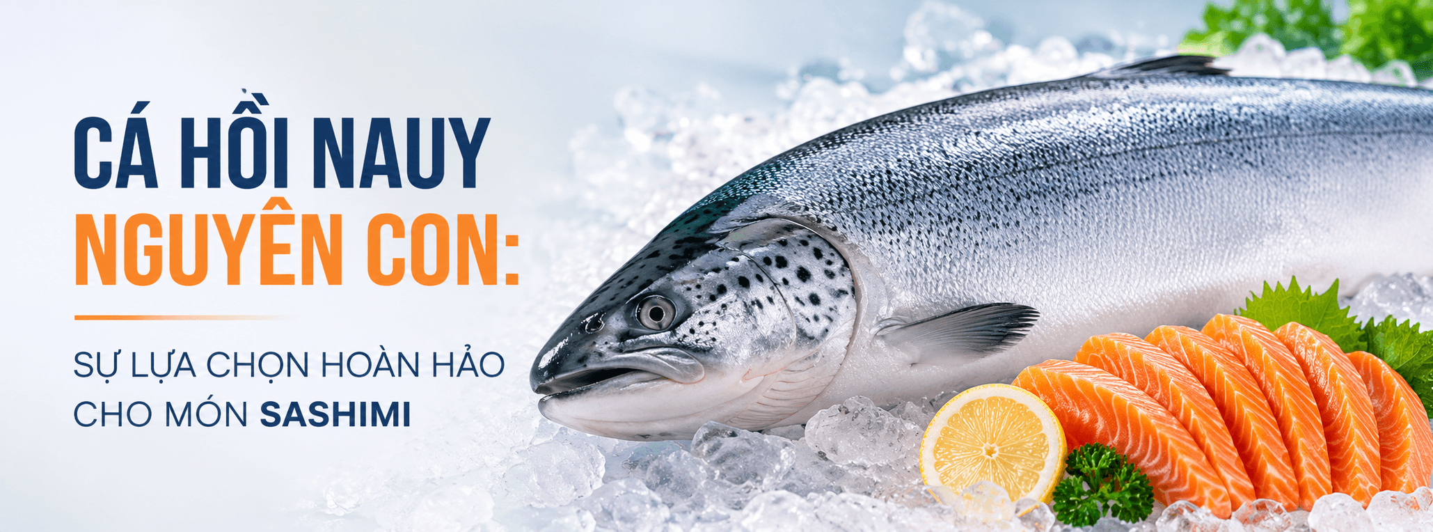 Cá hồi Nauy nguyên con — lựa chọn hoàn hảo cho món sashimi