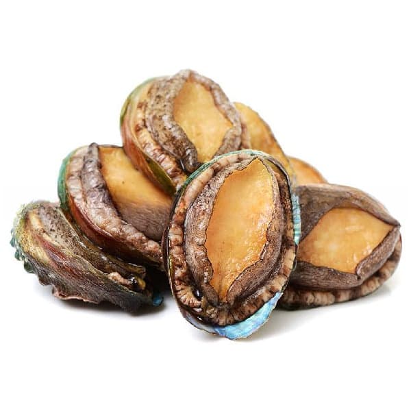 Bào Ngư Đông Lạnh