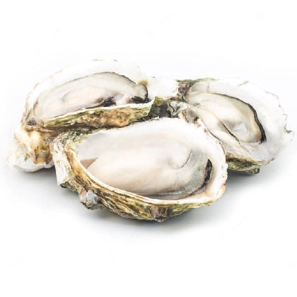 Sò - Ốc - Hàu - Vẹm